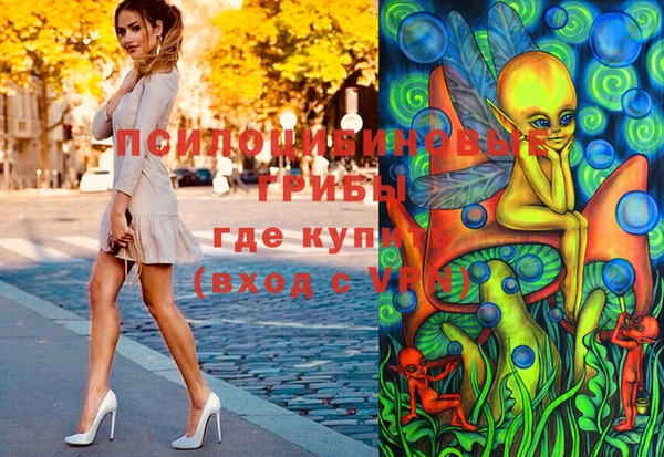 spice Волоколамск